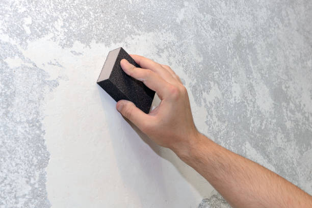 Best Mold Damage Restoration  in Vashon, WA