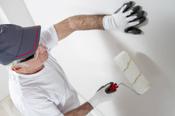 Best Mold Odor Removal Services  in Vashon, WA