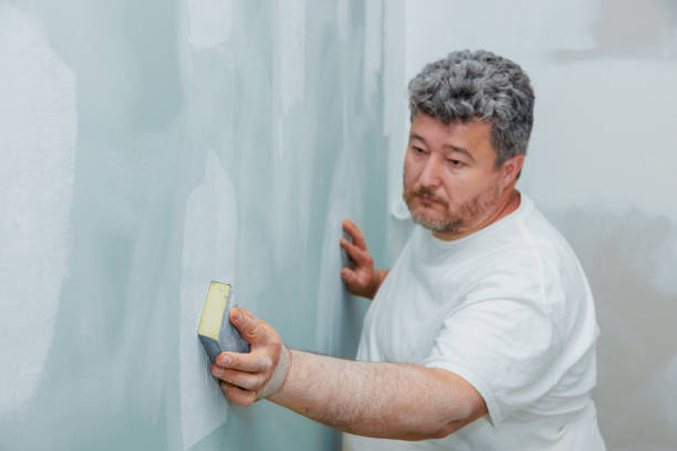 Best Asbestos and Lead Testing During Mold Inspection  in Vashon, WA