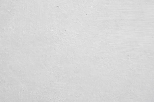 Best Mold Removal for HVAC Installations  in Vashon, WA